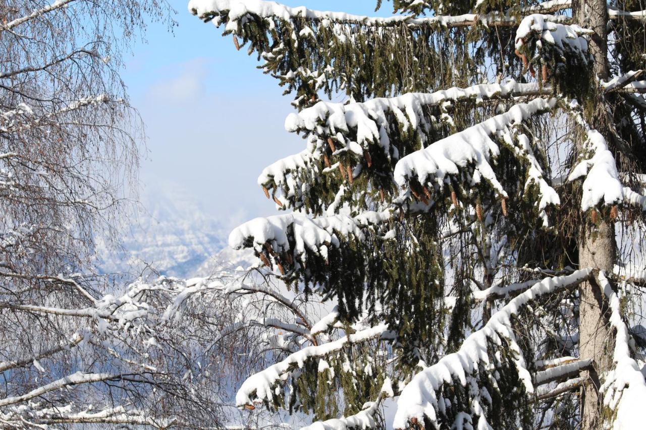 Appartamento Tipico Vista Dolomiti Nevegal Εξωτερικό φωτογραφία