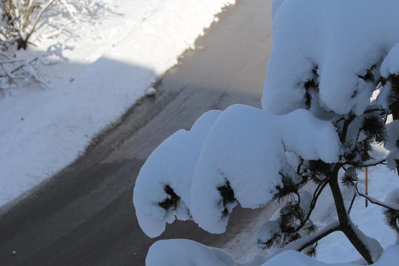 Appartamento Tipico Vista Dolomiti Nevegal Εξωτερικό φωτογραφία